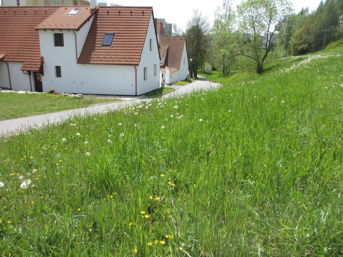 Český Krumlov Apartmany U Prochazku מראה חיצוני תמונה